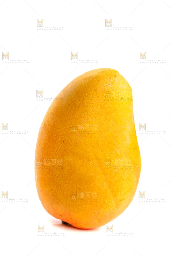 白底上的小台芒