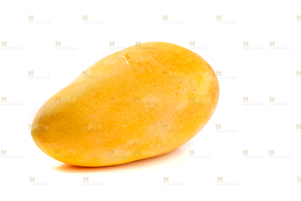 白底上的小台芒