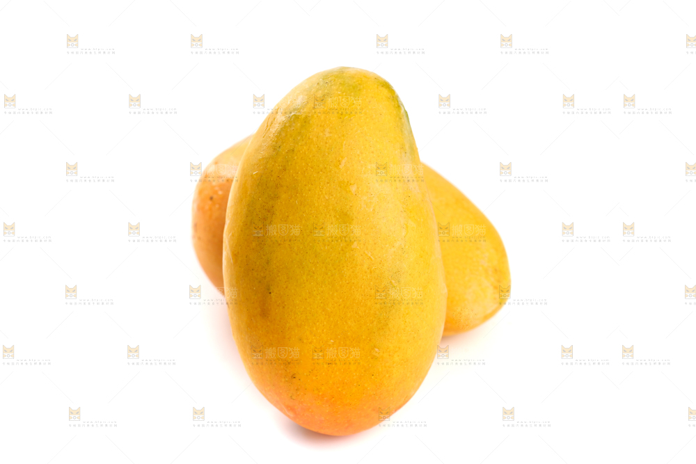 白底上的小台芒