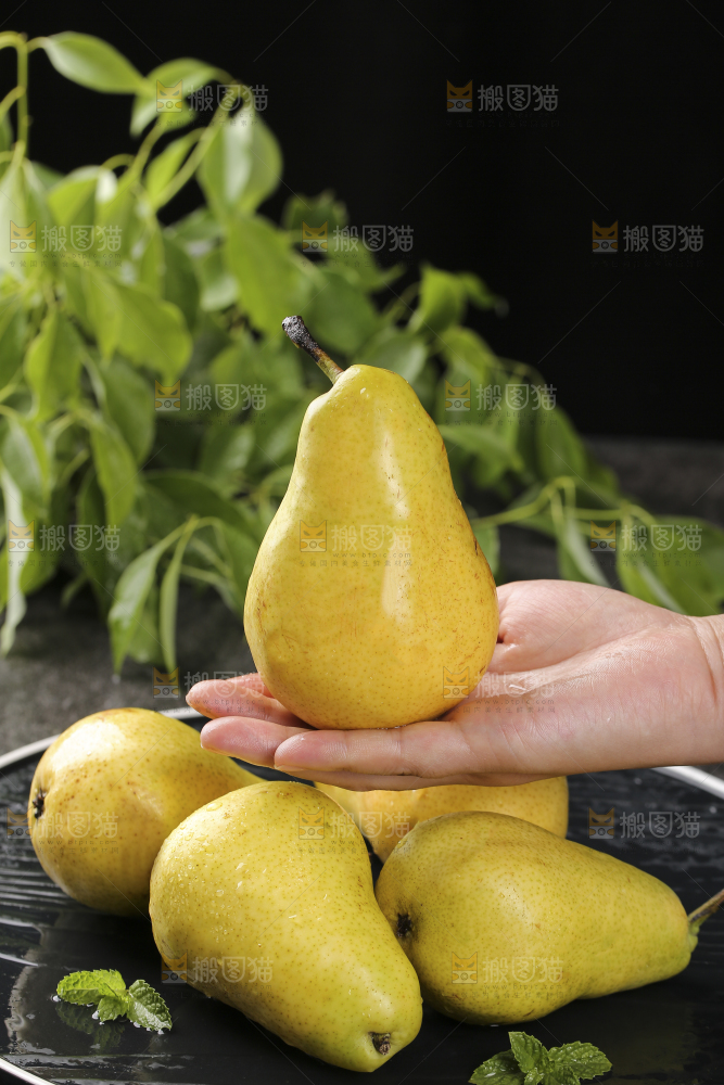 手上放着新鲜太婆梨