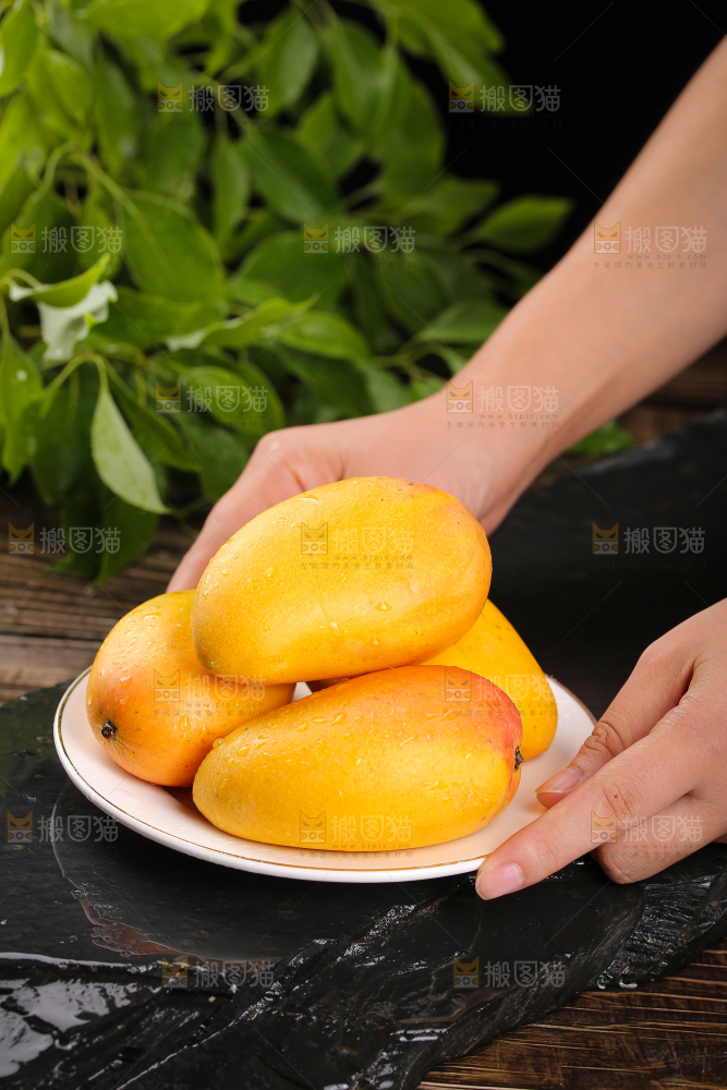 手里端着一盘小台芒