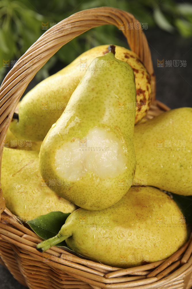 篮子里的山东太婆梨