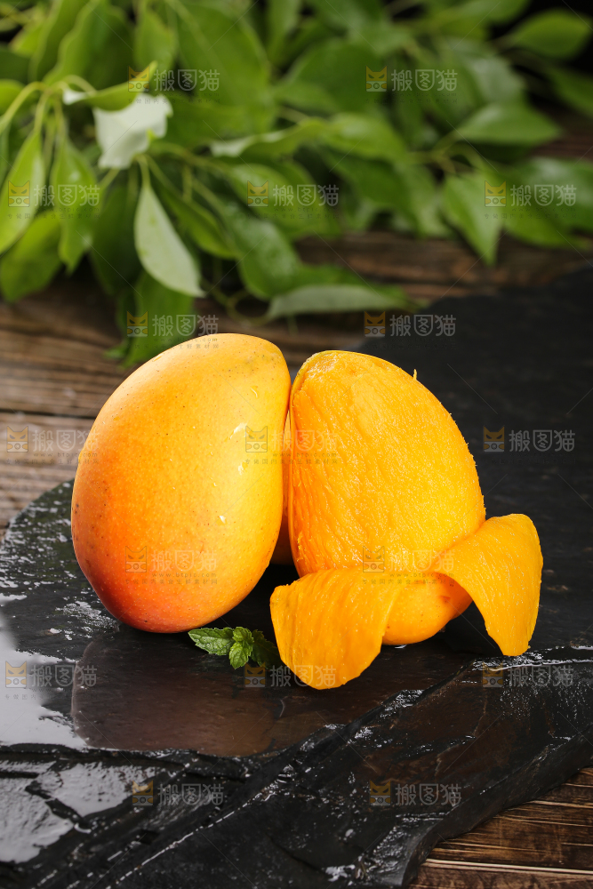 黑底上的新鲜小台芒