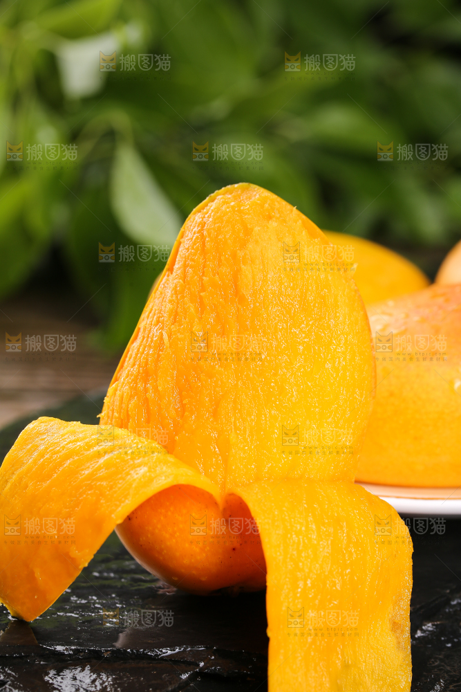 黑底上的小台芒