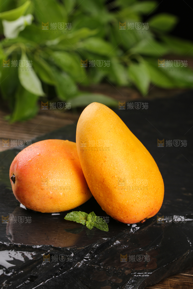 黑底上放着小台芒