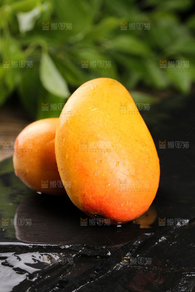 黑底上放着小台农芒果