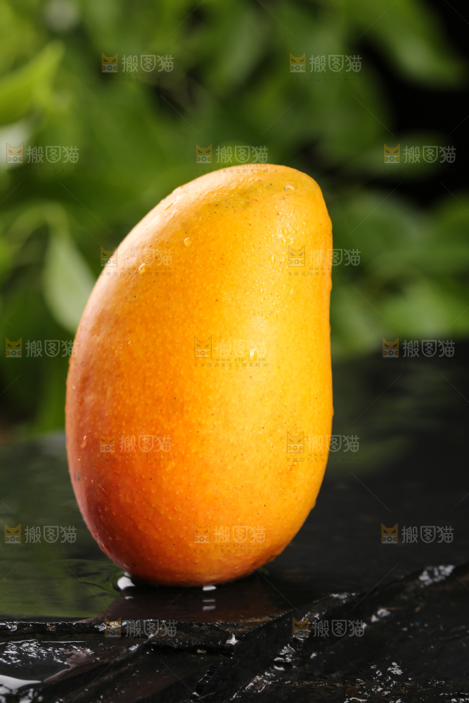 黑底上放着小台芒
