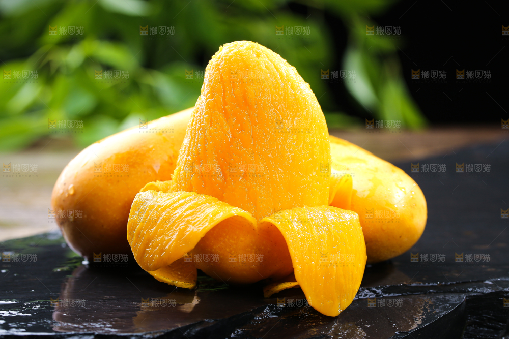 黑底上的新鲜小台芒