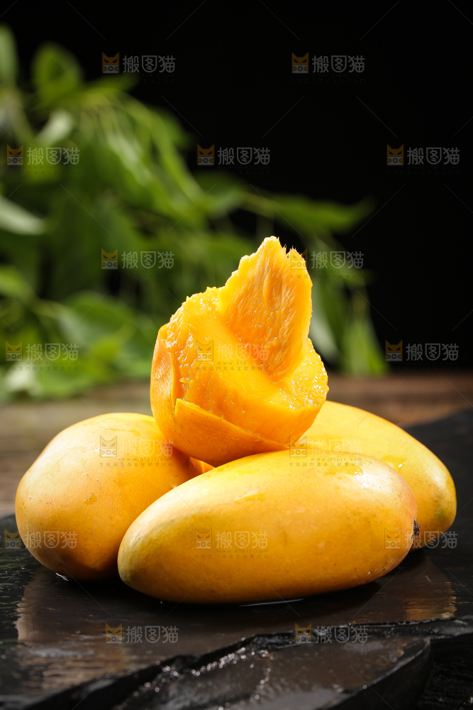 黑底上的新鲜小台芒