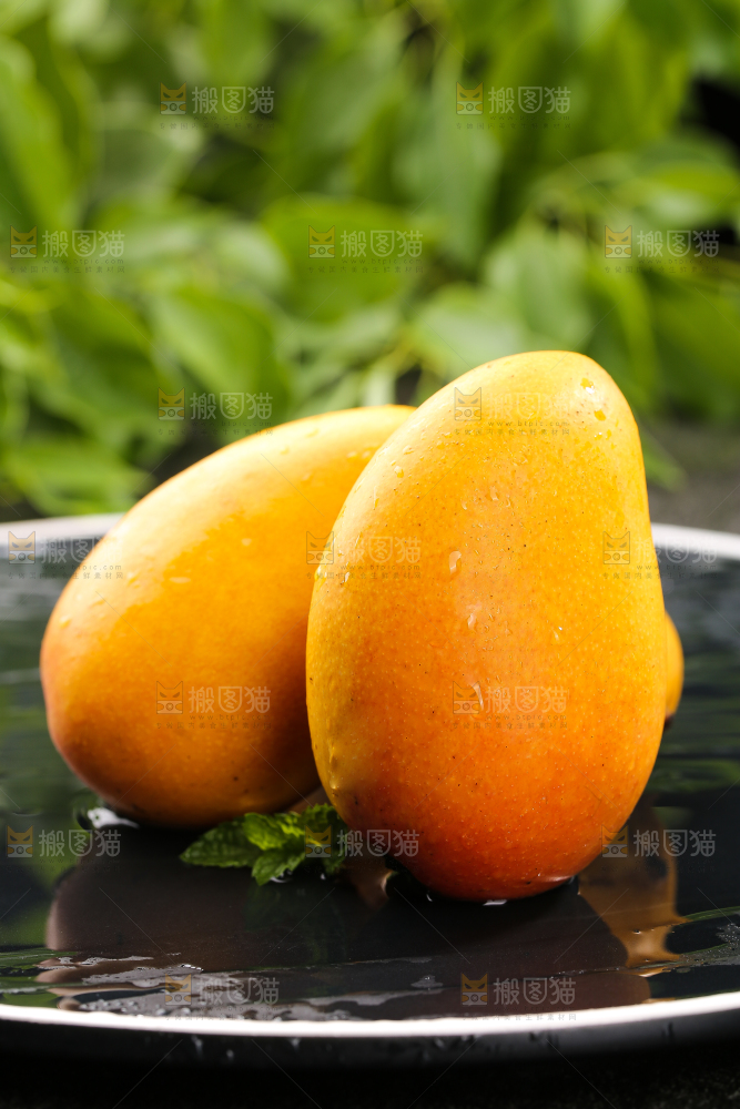 黑底上的小台芒