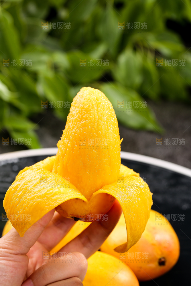 手拿着剥皮的小台芒