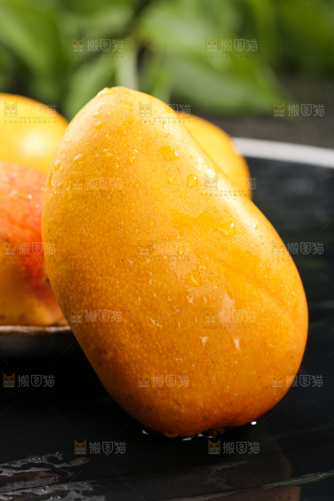 黑底上的小台芒
