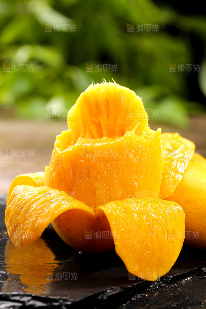 黑底上的新鲜小台芒