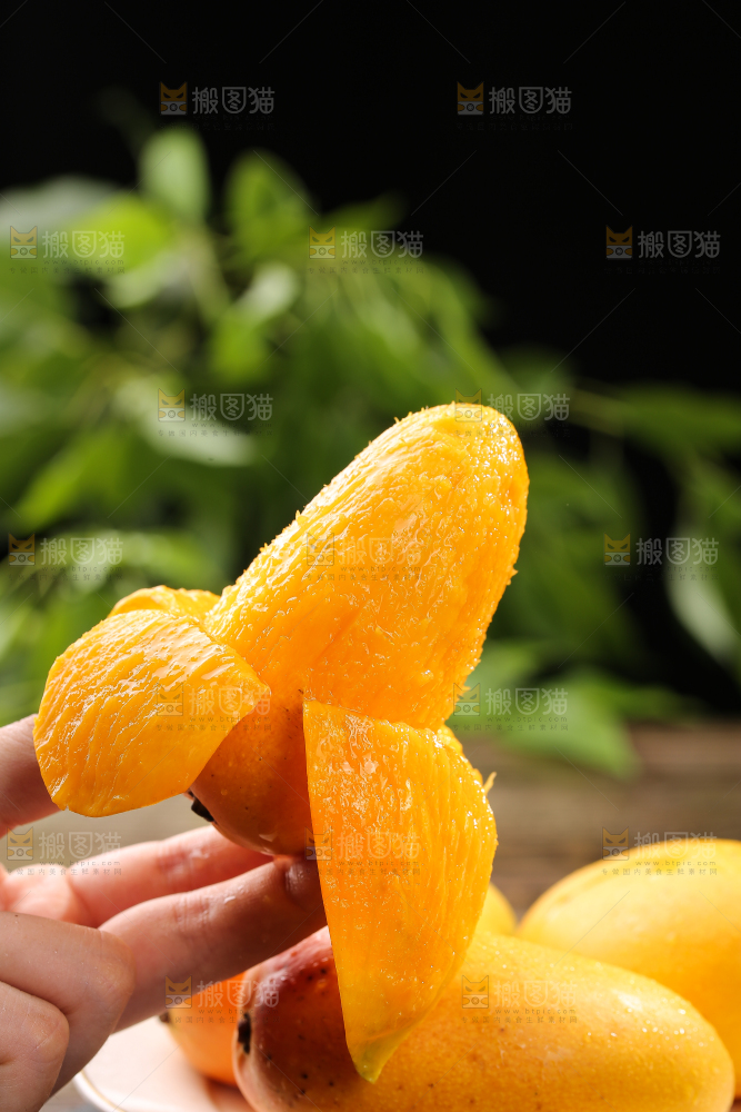 手拿着剥皮的新鲜台芒