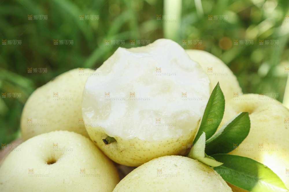 堆放着的皇冠白梨
