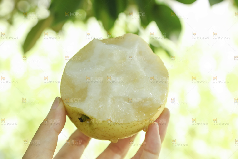 手里咬开的皇冠梨