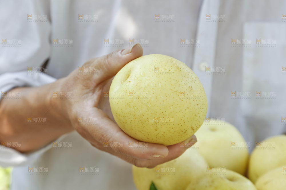 手里拿着新鲜皇冠梨