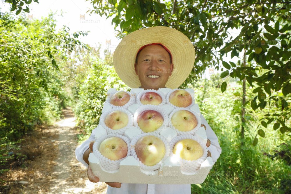 农民拿着礼品箱里的嘎啦果