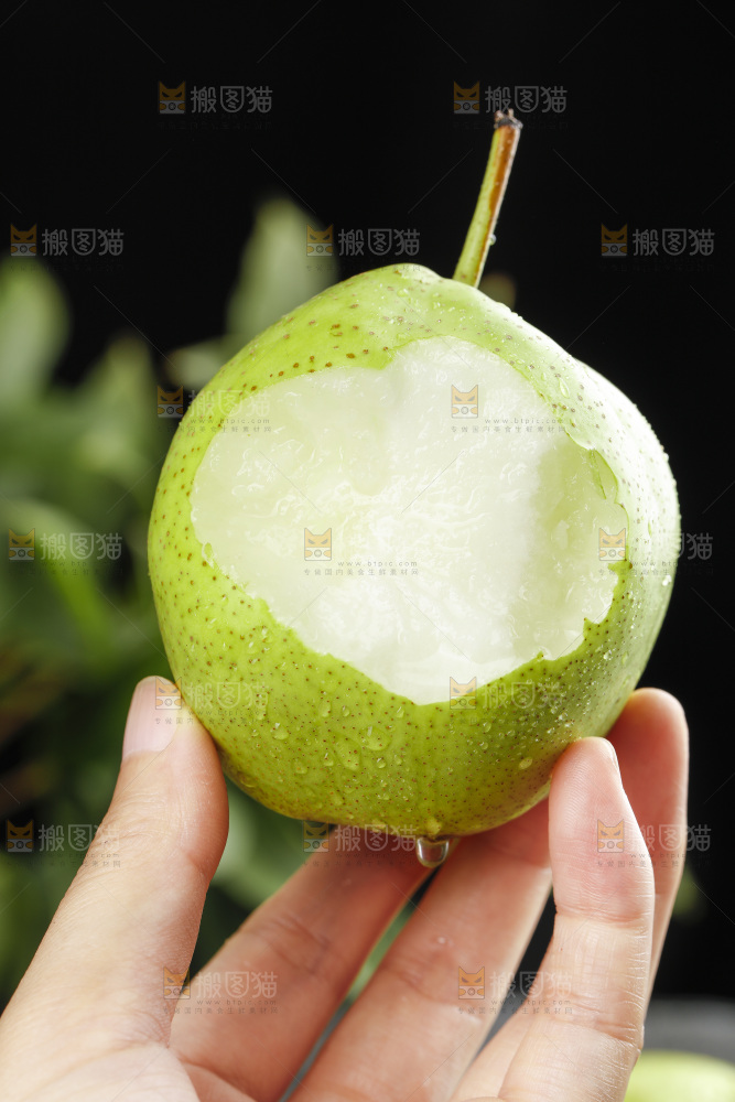 手里拿着陕西早酥梨