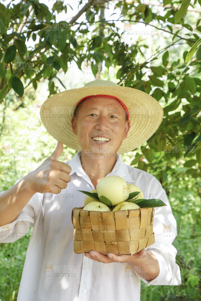 农民手里拿着一篮皇冠梨