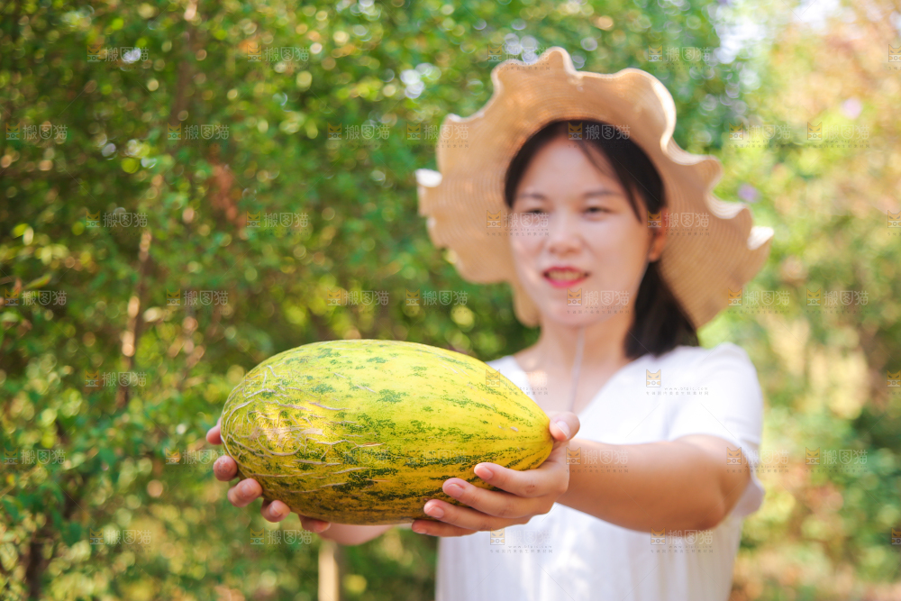 女孩手里拿着哈密瓜