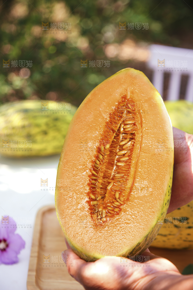 新疆伽师瓜