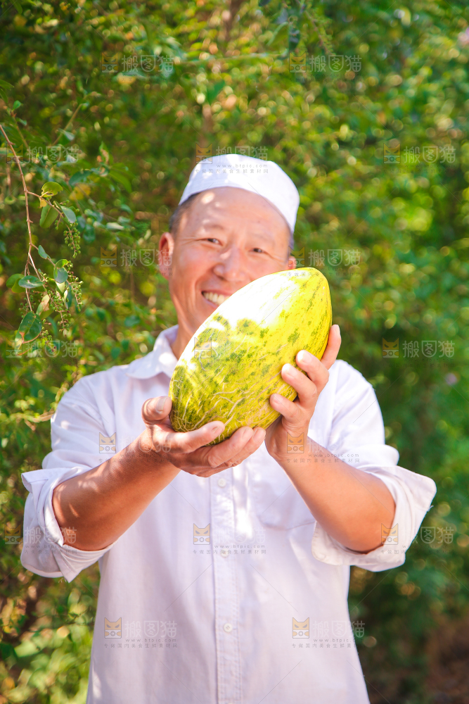 新疆伽师瓜