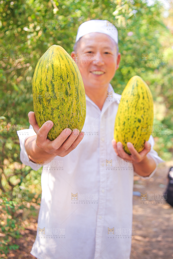 新疆伽师瓜