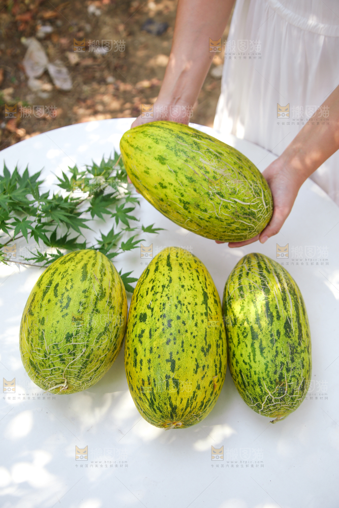 新疆伽师瓜
