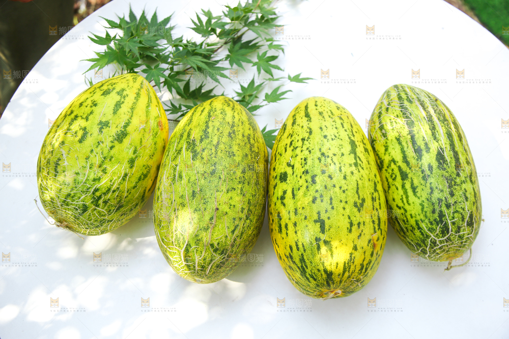 新疆伽师瓜