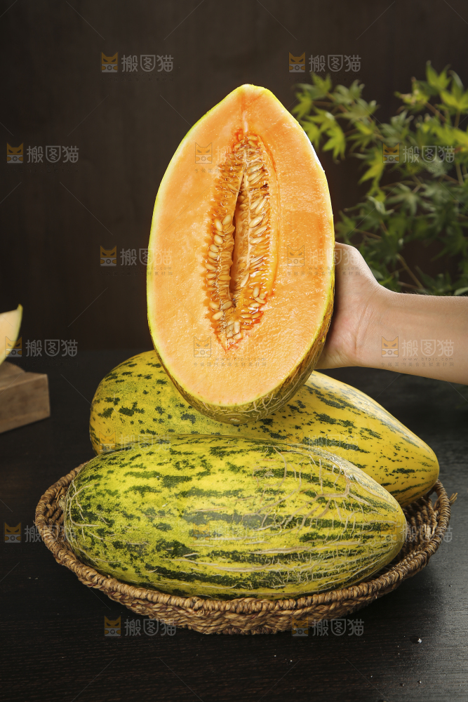 新疆伽师瓜