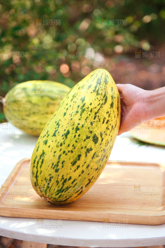 新疆伽师瓜