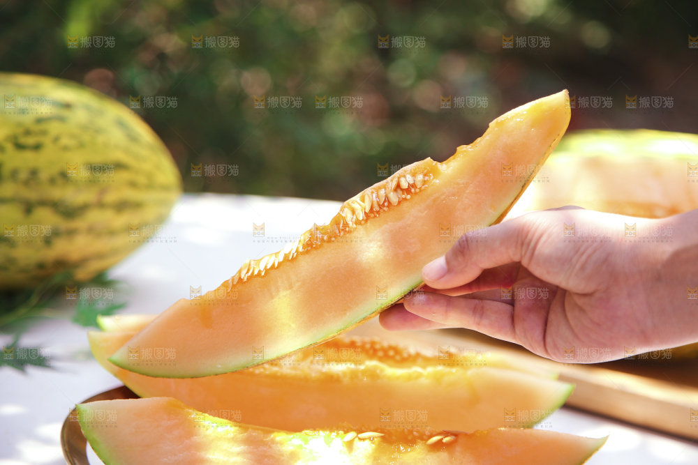 新疆伽师瓜