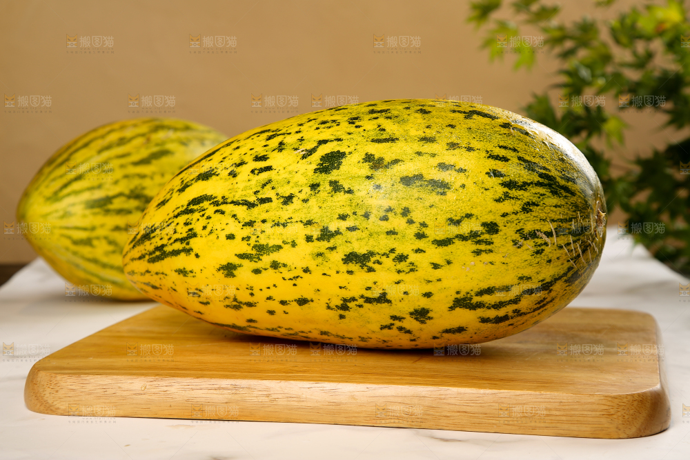 新疆伽师瓜