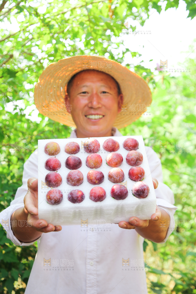农民手里拿着一盒脆红李