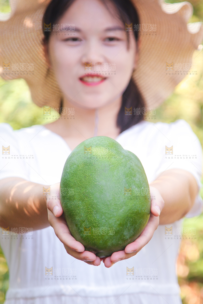 女孩手里拿着凯特芒果