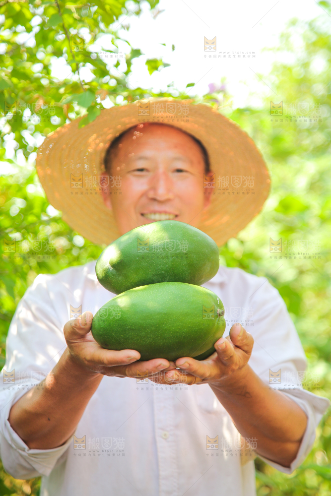 农民手里拿着青皮凯特芒