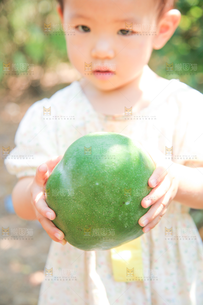 小孩手里拿着青皮凯特芒