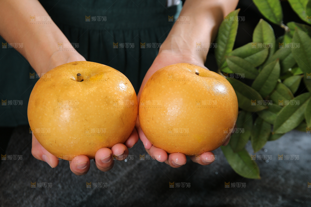 手里拿着新鲜秋月梨