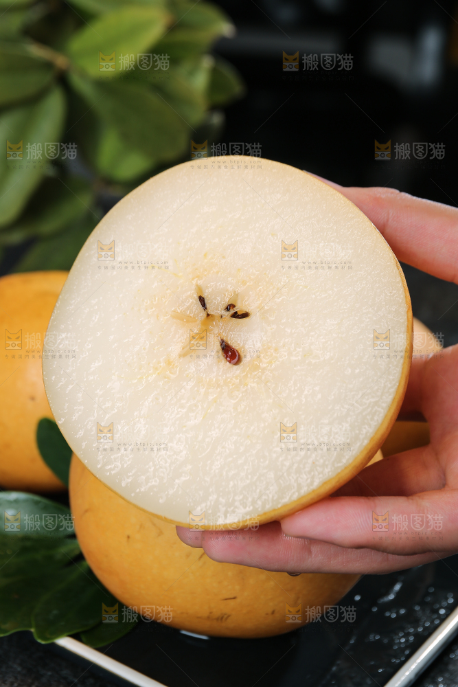 手里拿着新鲜秋月梨