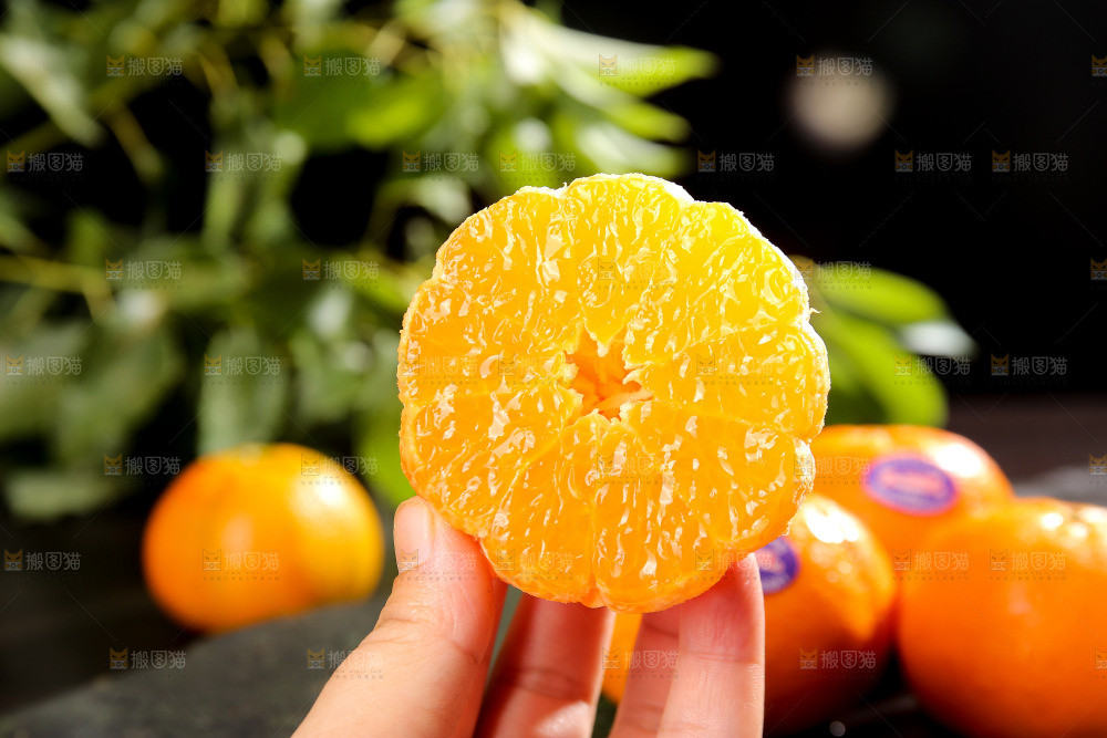 手里拿着新鲜澳柑果肉