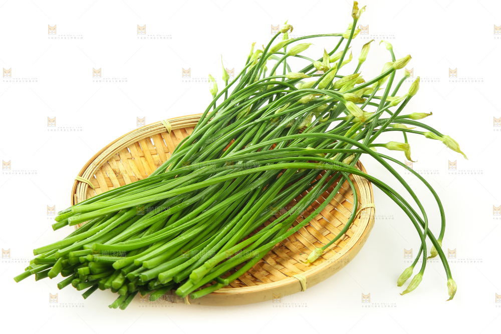 白底上的一篮韭菜苔