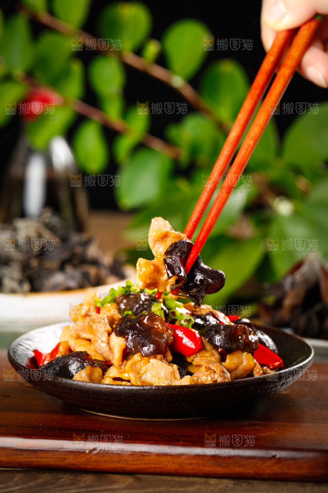 筷子上夹着木耳炒肉丝