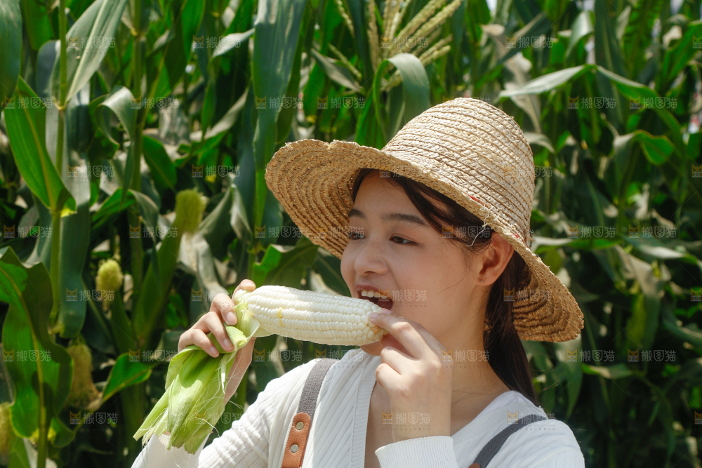女孩正在吃着牛奶玉米