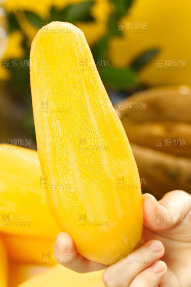 手里拿着天山雪莲果