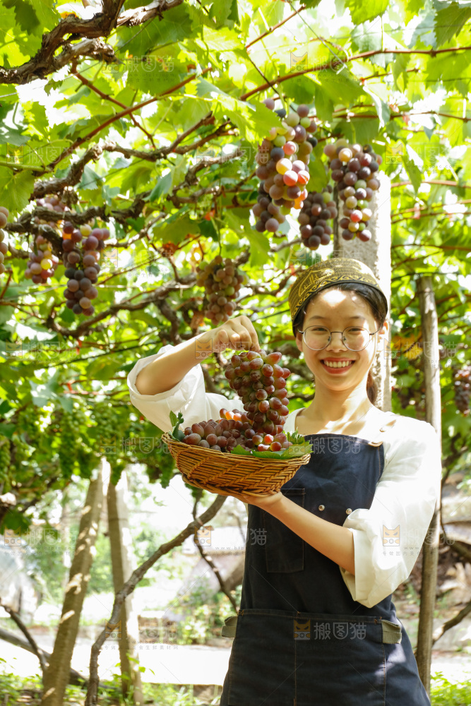 女孩拿着茉莉香葡萄