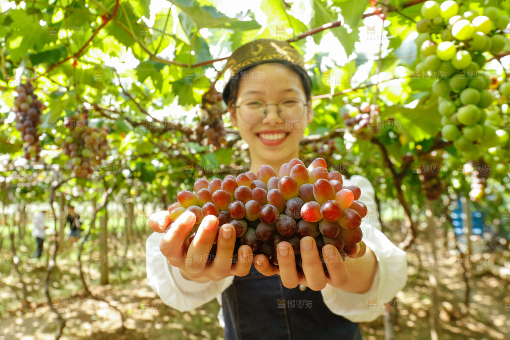 女孩拿着茉莉香葡萄