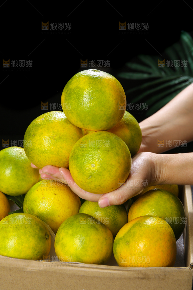 手里拿着爱媛果冻橙