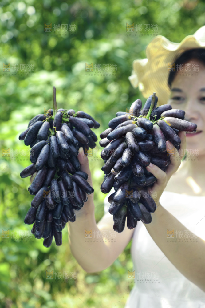 女孩拿着美人指黑提