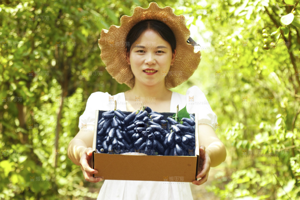 女孩拿着一盒蓝宝石葡萄